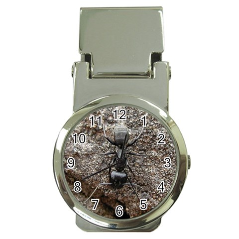 Black Ant Money Clip Watch from UrbanLoad.com Front