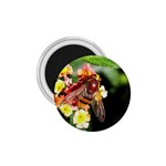 Bee Flower 1.75  Magnet