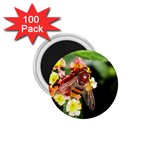 Bee Flower 1.75  Magnet (100 pack) 