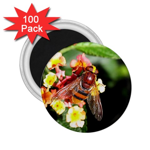 Bee Flower 2.25  Magnet (100 pack)  from UrbanLoad.com Front