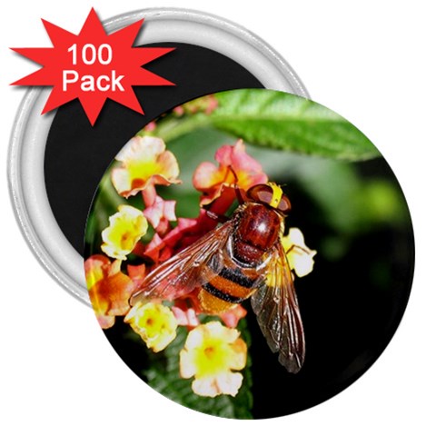Bee Flower 3  Magnet (100 pack) from UrbanLoad.com Front