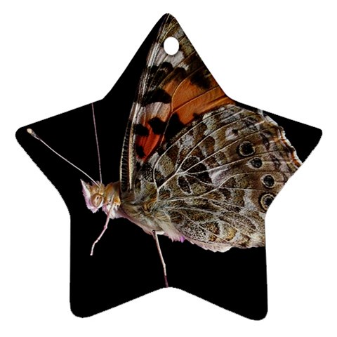 Bulgaria Butterfly Ornament (Star) from UrbanLoad.com Front