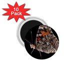 Bulgaria Butterfly 1.75  Magnet (10 pack) 