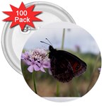 Erebia Pronoe Rila (Bulgaria Butterfly) 3  Button (100 pack)