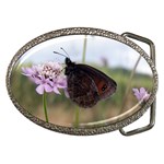 Erebia Pronoe Rila (Bulgaria Butterfly) Belt Buckle