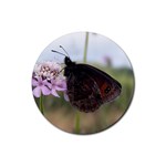 Erebia Pronoe Rila (Bulgaria Butterfly) Rubber Coaster (Round)