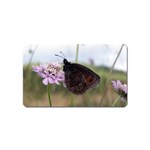 Erebia Pronoe Rila (Bulgaria Butterfly) Magnet (Name Card)