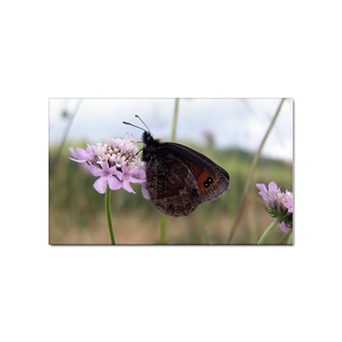 Erebia Pronoe Rila (Bulgaria Butterfly) Sticker Rectangular (10 pack) from UrbanLoad.com Front
