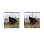 Erebia Pronoe Rila (Bulgaria Butterfly) Cufflinks (Square)