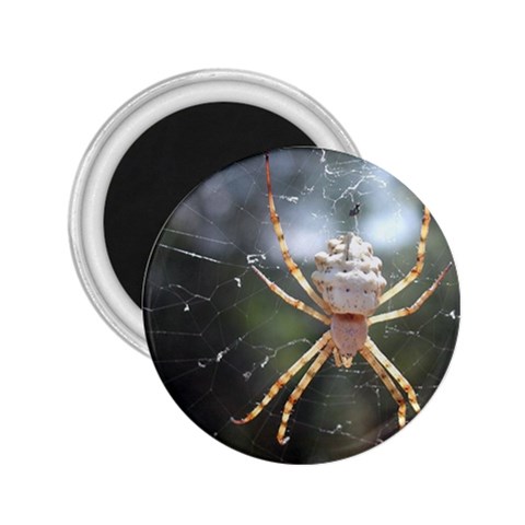 White Spider 2.25  Magnet from UrbanLoad.com Front