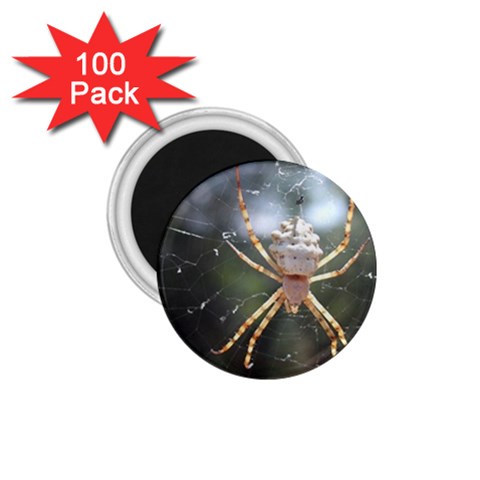 White Spider 1.75  Magnet (100 pack)  from UrbanLoad.com Front