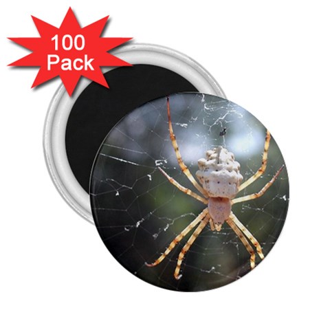 White Spider 2.25  Magnet (100 pack)  from UrbanLoad.com Front