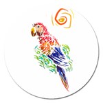 Scarlet Macaw Magnet 5  (Round)