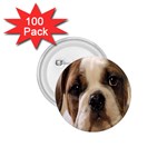 American Bulldog Puppy 1.75  Button (100 pack)