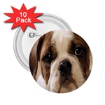 American Bulldog Puppy 2.25  Button (10 pack)