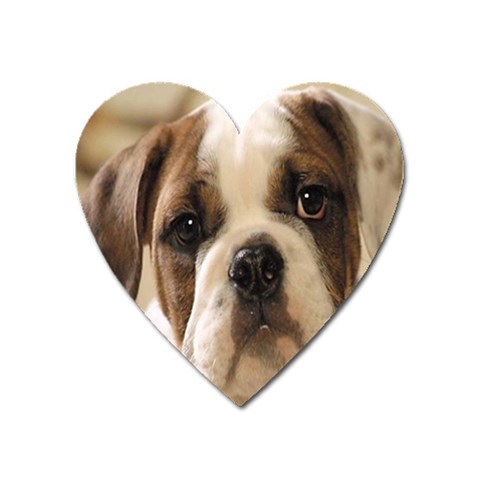 American Bulldog Puppy Magnet (Heart) from UrbanLoad.com Front