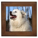 American Eskimo Dog Framed Tile