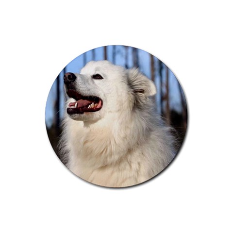 American Eskimo Dog Rubber Round Coaster (4 pack) from UrbanLoad.com Front
