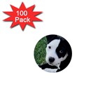 American Pit Bull Puppy 1  Mini Button (100 pack)