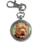 American Pit Bull Terrier Key Chain Watch