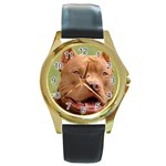 American Pit Bull Terrier Round Gold Metal Watch