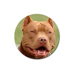 American Pit Bull Terrier Magnet 3  (Round)