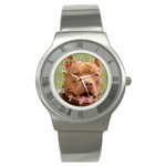 American Pit Bull Terrier Stainless Steel Watch
