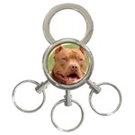 American Pit Bull Terrier 3-Ring Key Chain