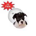 American Staffordshire Puppy 1.75  Button (10 pack)