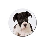 American Staffordshire Puppy Rubber Round Coaster (4 pack)