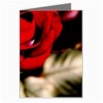 For You Rose Greeting Card
