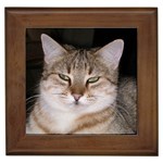 Cat Framed Tile
