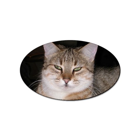 Cat Sticker Oval (100 pack) from UrbanLoad.com Front