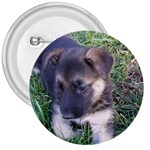 German Shepherd Puppy 3  Button