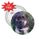 German Shepherd Puppy 2.25  Button (10 pack)
