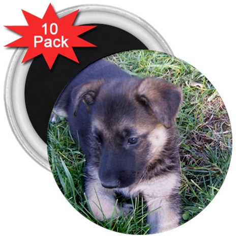 German Shepherd Puppy 3  Magnet (10 pack) from UrbanLoad.com Front