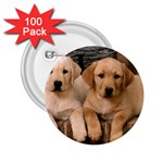 Labrador  Puppy 2 2.25  Button (100 pack)