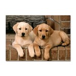 Labrador  Puppy 2 Sticker A4 (100 pack)