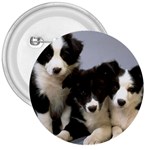 Border Collie Puppies 3  Button