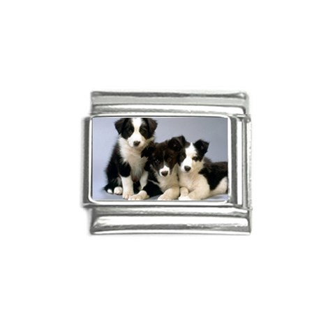 Border Collie Puppies Italian Charm (9mm) from UrbanLoad.com Front