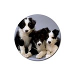 Border Collie Puppies Rubber Round Coaster (4 pack)