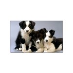 Border Collie Puppies Sticker (Rectangular)