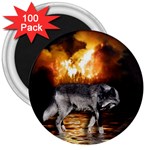  Survivor  Grey Wolf  3  Magnet (100 pack)