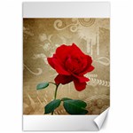 Red Rose Art Canvas 20  x 30 