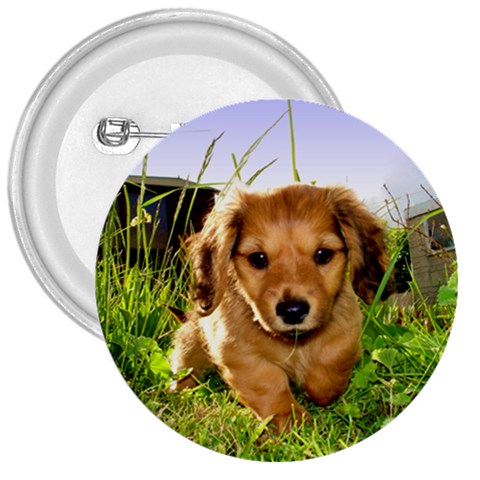 Puppy In Grass 3  Button from UrbanLoad.com Front