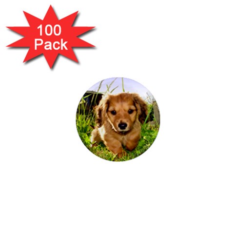 Puppy In Grass 1  Mini Magnet (100 pack)  from UrbanLoad.com Front