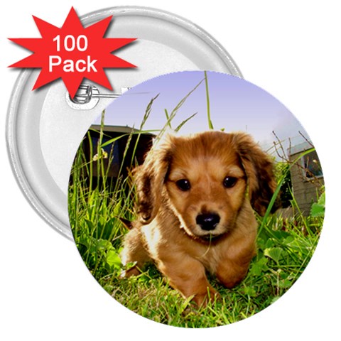 Puppy In Grass 3  Button (100 pack) from UrbanLoad.com Front