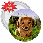 Puppy In Grass 3  Button (100 pack)