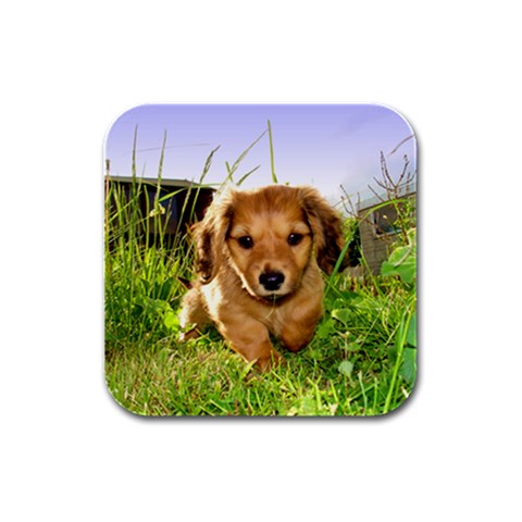 Puppy In Grass Rubber Square Coaster (4 pack) from UrbanLoad.com Front
