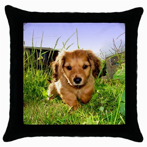 Puppy In Grass Throw Pillow Case (Black) from UrbanLoad.com Front